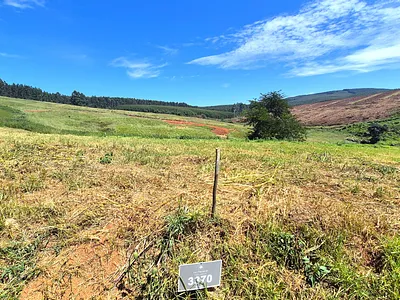 Vacant Land For Sale in Howick - betf.webp