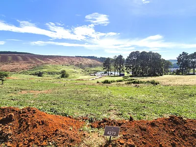 Vacant Land For Sale in Howick - XcCR.webp