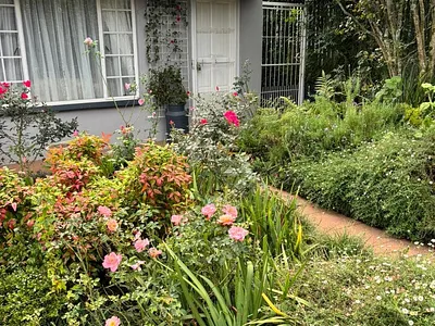 1 Bedroom Apartment To Rent in Howick - img