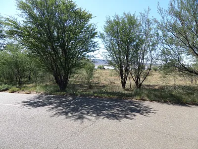 Vacant Land For Sale in Venterstad - img