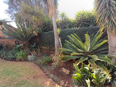 2 Bedroom House For Sale in Wierda Park, Centurion - 0IUC.webp