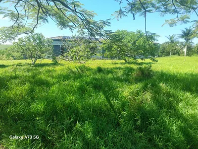 Vacant Land For Sale in Palm Lakes Estate, Ballito - ZOs7.webp