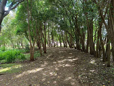 Farm For Sale in Centurion - moW9.webp