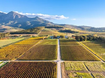 Commercial Property For Sale in Paarl - xxwz.webp