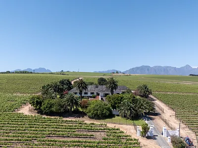 Farm For Sale in Stellenbosch - ceRP.webp