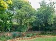 Carousel Indicator - C8IA.webp