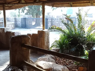 3 Bedroom House For Sale in Randfontein - KR5f.webp