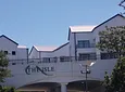 Carousel Indicator - mgQi.webp