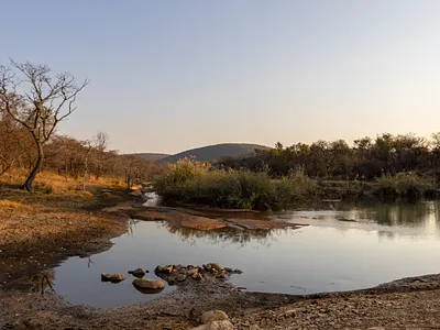 Farm For Sale in Vaalwater - img