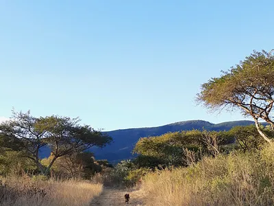 Farm For Sale in Nelspruit - l6i8.webp