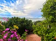Carousel Indicator - rdEA.webp