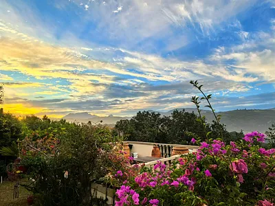 8 Bedroom House For Sale in Wilderness - img