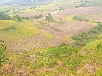 Farm For Sale in Durban - img