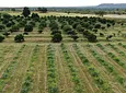 Carousel Indicator - 4c5A.webp