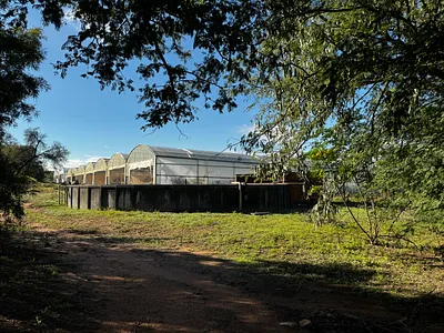 Farm For Sale in Pretoria - 4bkd.webp