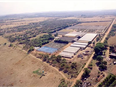 Farm For Sale in Pretoria - wlmp.webp