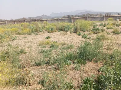 Vacant Land For Sale in Brits - M9WN.webp