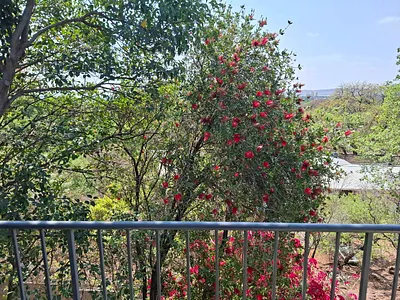 3 Bedroom Apartment To Rent in Pretoria - img