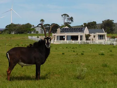 Vacant Land For Sale in Jeffreys Bay - eBhS.webp