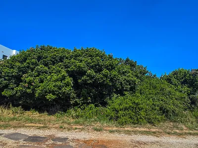 Vacant Land For Sale in Jeffreys Bay - tmkZ.webp