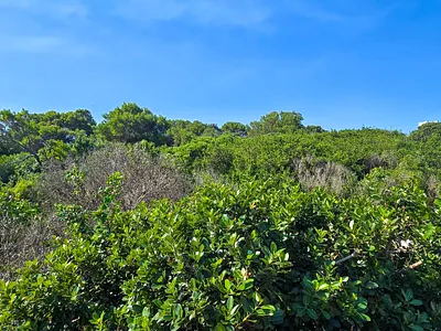 Vacant Land For Sale in Jeffreys Bay - 1Hrd.webp