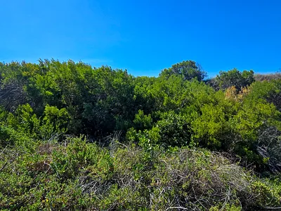 Vacant Land For Sale in Jeffreys Bay - stIL.webp