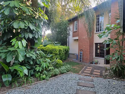 3 Bedroom House To Rent in Nelspruit - PU0o.webp