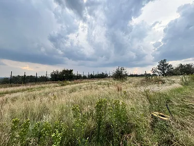 Vacant Land For Sale in Potchefstroom - TiCC.webp