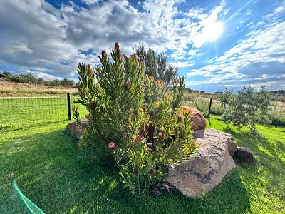 Vacant Land For Sale in Potchefstroom - zLEv.webp