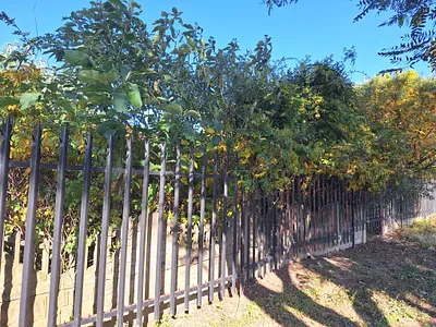 3 Bedroom House For Sale in Volksrust - 6ZjE.webp