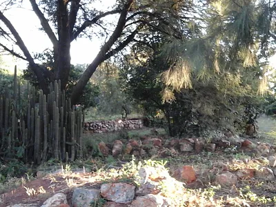Industrial Property For Sale in Meyerton - img