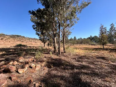 Vacant Land For Sale in Walker Fruit Farms, Walkerville - i5k4.webp