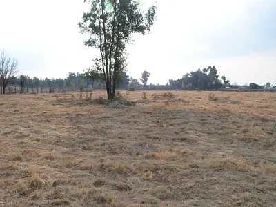 Vacant Land For Sale in Meyerton - yhhv.webp