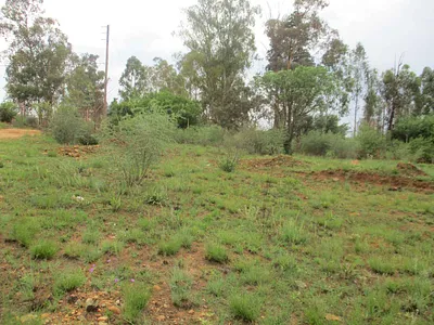 Vacant Land For Sale in Meyerton - yURk.webp