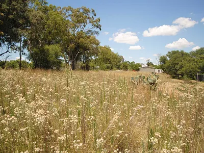 Vacant Land For Sale in Oranjeville - oIka.webp