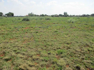 Vacant Land For Sale in Meyerton - P4yV.webp