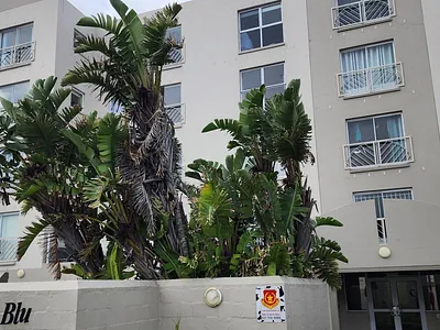 1 Bedroom Apartment To Rent in Blouberg - ope6.webp