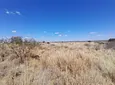 Carousel Indicator - XDTd.webp