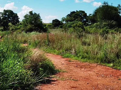 Farm For Sale in Pretoria - J0qf.webp