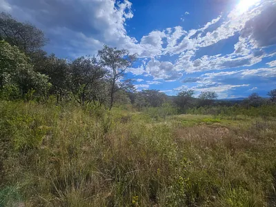 Farm For Sale in Krugersdorp - Aecu.webp