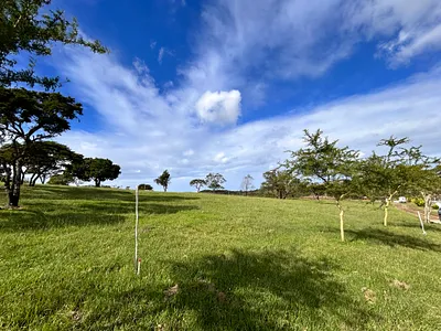 Vacant Land For Sale in East London - TS8o.webp