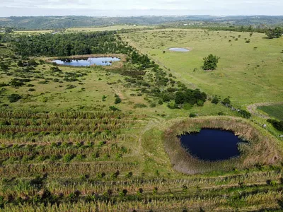 Farm For Sale in East London - 6H9W.webp