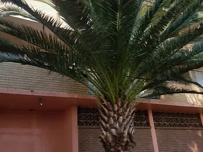 0.5 Bedroom House To Rent in Yeoville, Johannesburg - Lbos.webp