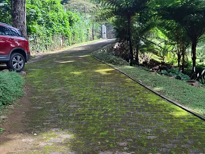 2 Bedroom Apartment To Rent in Pinetown - Ig2G.webp