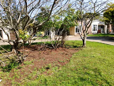 Farm For Sale in East London - q6or.webp