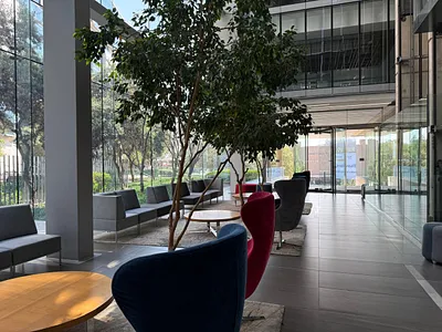 Commercial Property To Rent in Sandton - 6Cta.webp