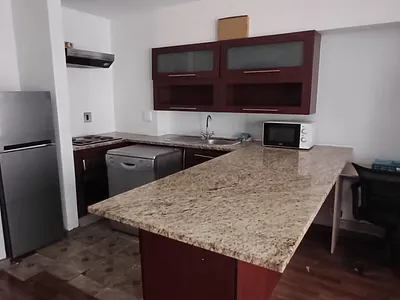 Apartment To Rent in Johannesburg - img