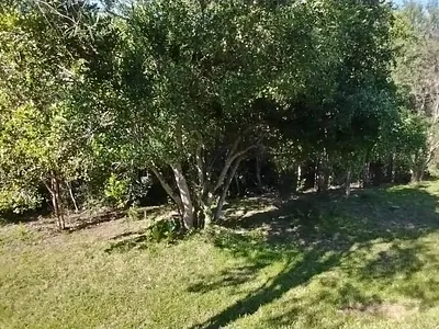 Vacant Land For Sale in Knysna - CgCo.webp