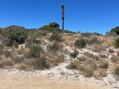 Vacant Land For Sale in St Helena Bay - am87.webp