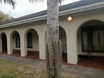 5 Bedroom House For Sale in Richards Bay - Fz5L.webp